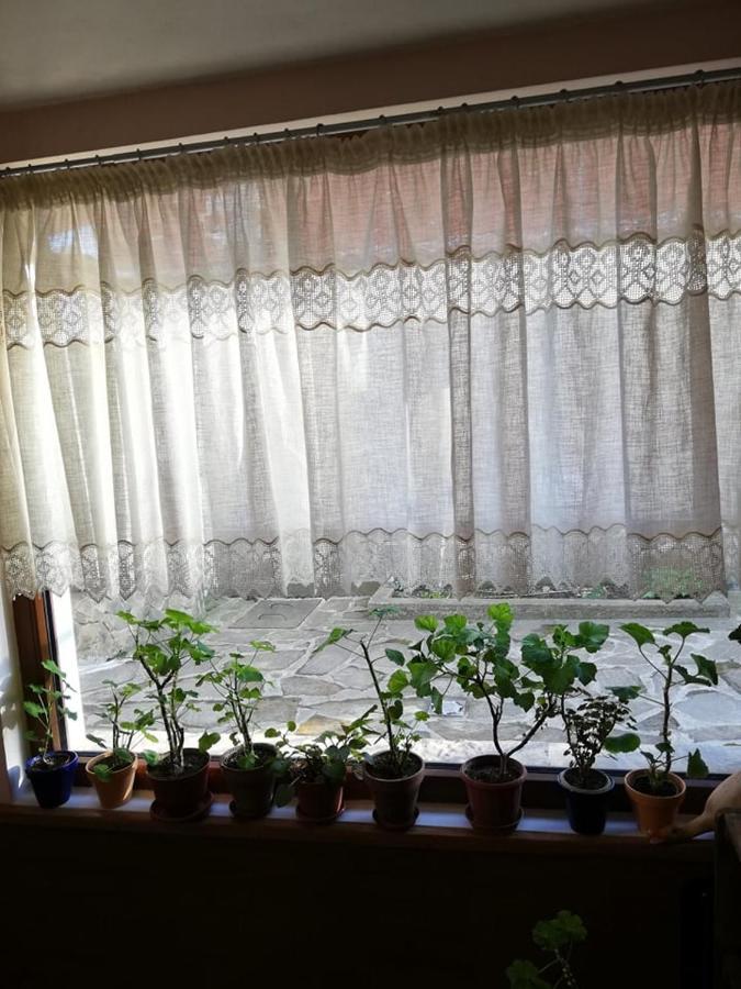Guest House Vodolei Kotel Eksteriør billede